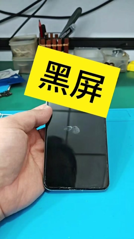 oppo手机屏能亮却划不动游戏截图