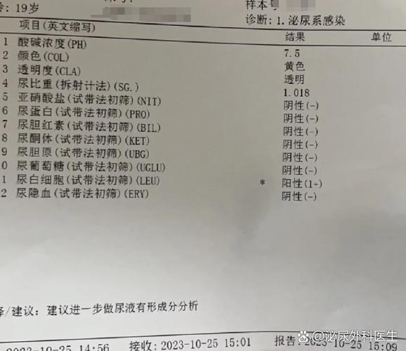 常规WSW检查说明包 游戏截图