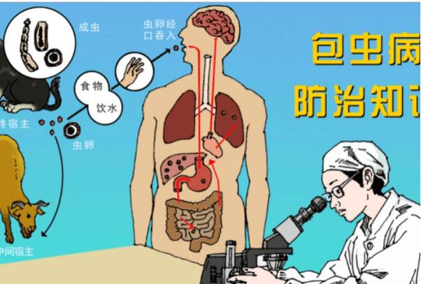 体内寄生虫手机版下载图标