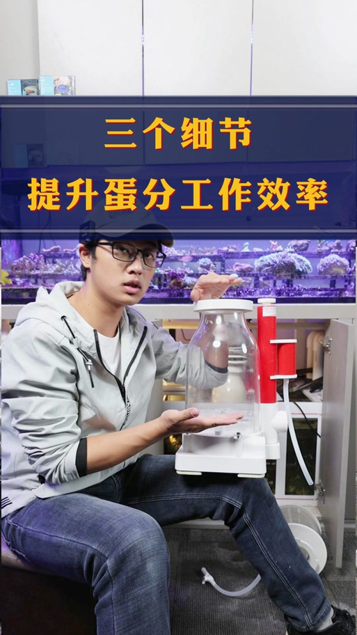 蛋分宝典 游戏截图