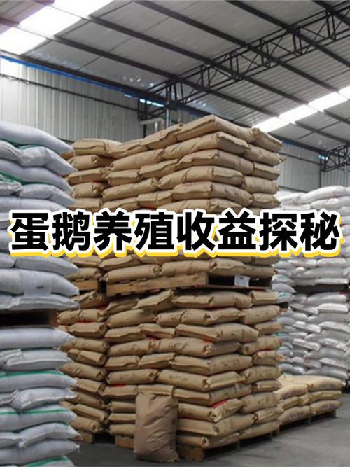 蛋鹅的养殖成本及利润图标