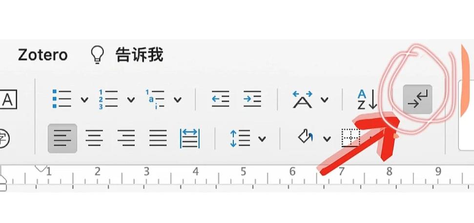 word出现了分割虚线怎么清除图标