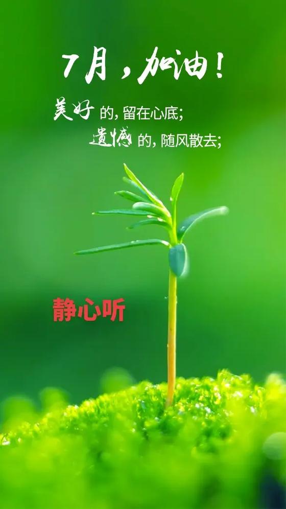 关掉随心听