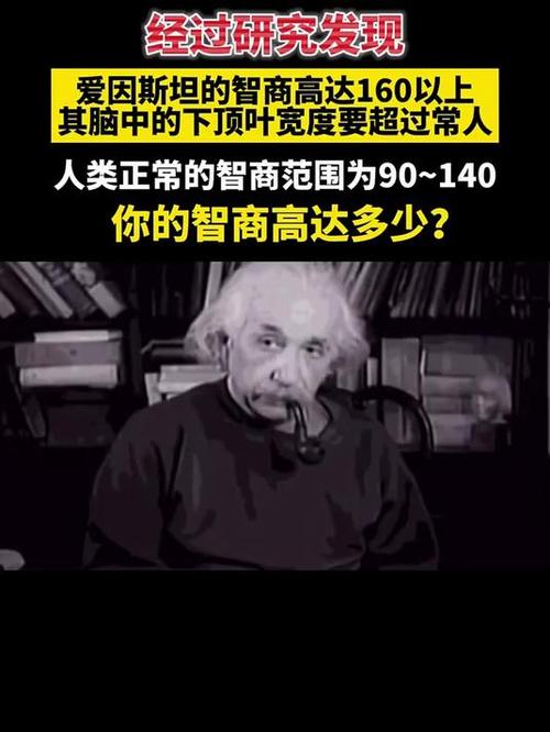 智商167概念解读 游戏截图