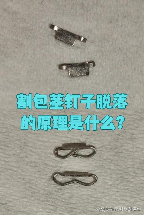 钉不下 游戏截图