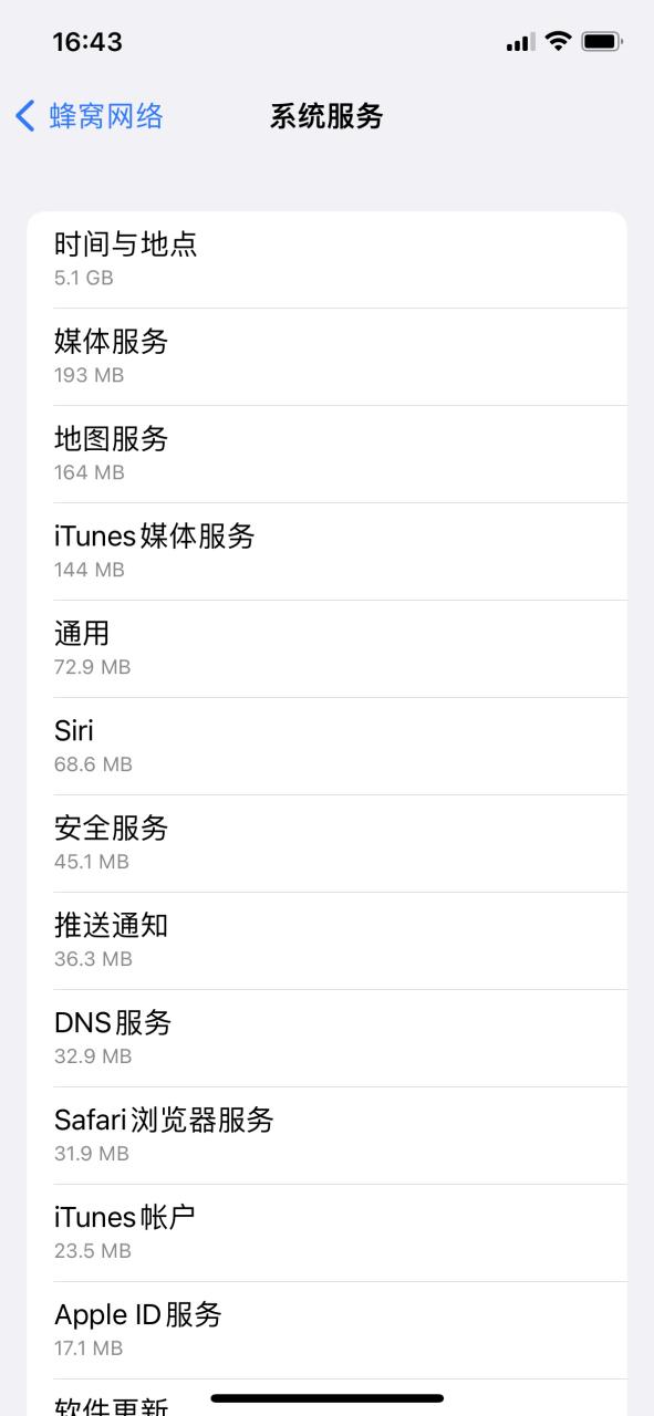 苹果系统服务耗流量图标