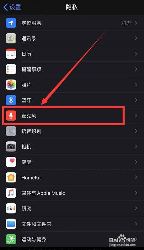 苹果麦克风设置指南 游戏截图