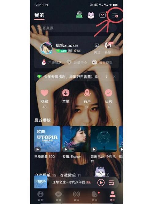 qq音乐怎么自定义歌词背景