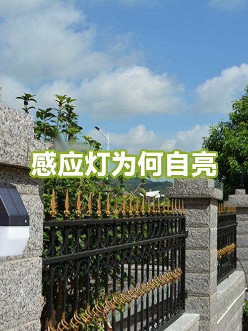 感应灯自动亮怎么回事图标