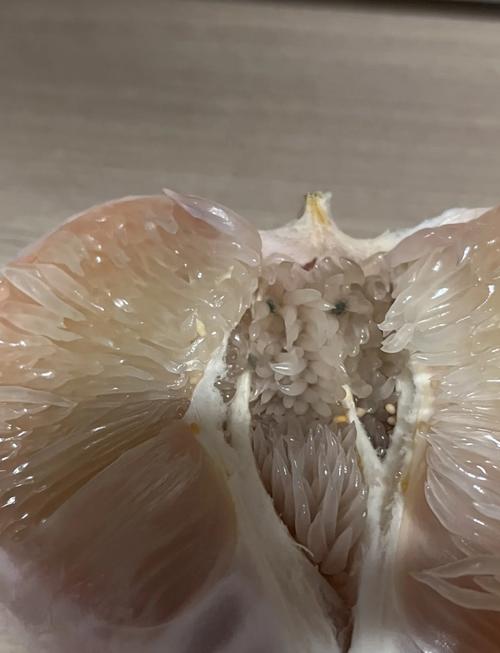 柚子有一点点发霉可以吃吗图标