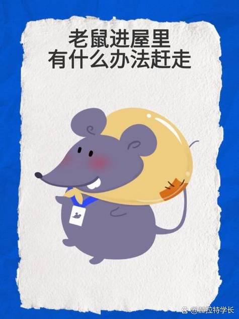 老鼠进了家就不会出去吗游戏截图