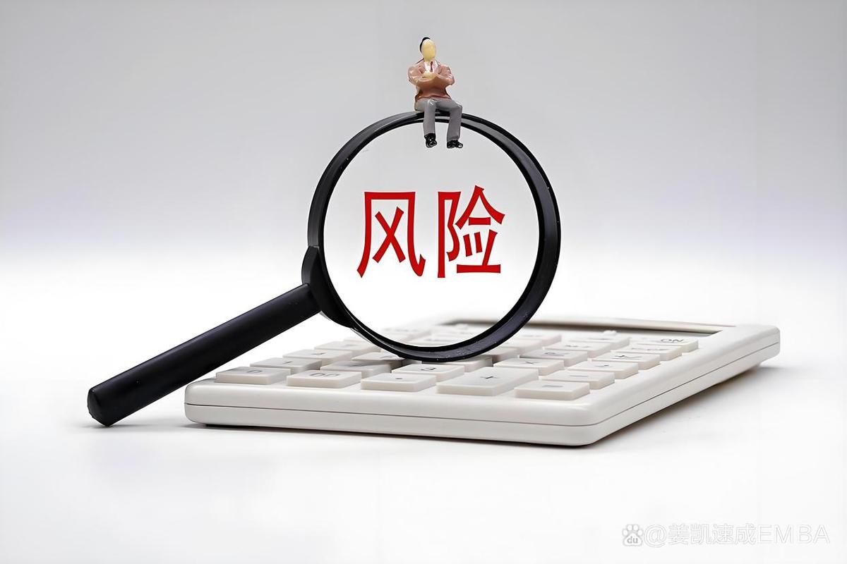 转账110万的风险 游戏截图