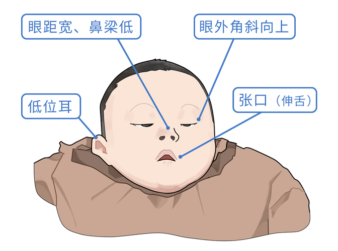 内斜V征图标