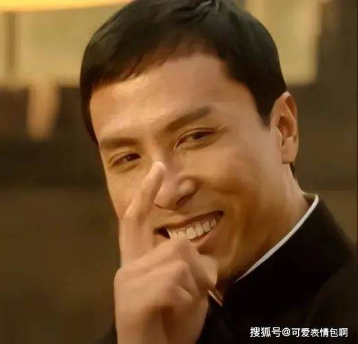 甄子丹指人表情包游戏截图