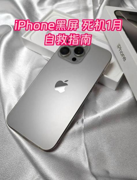 苹果11黑屏救援 游戏截图