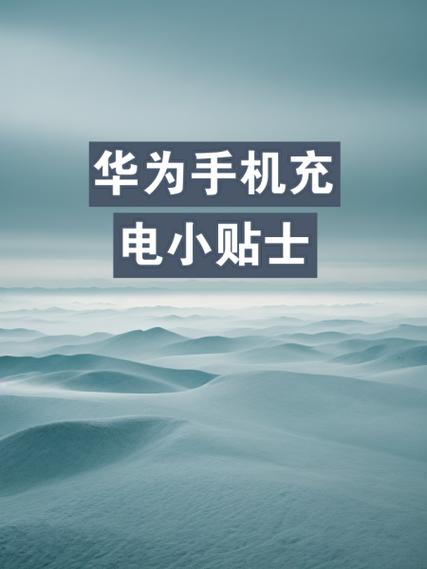 华为新手机前三次充电图标