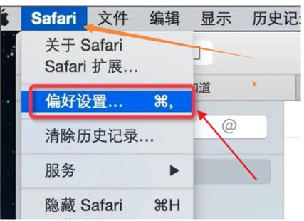 苹果设置safari在哪里