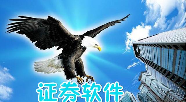 广发证券至强版下载官方图标