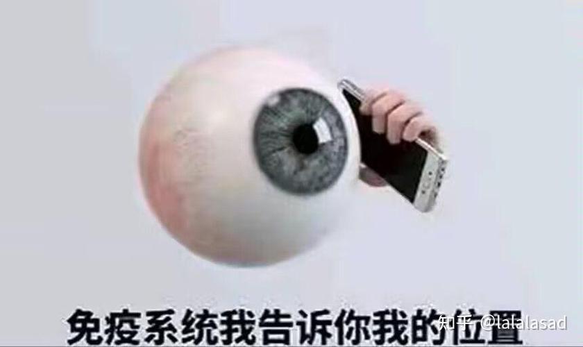 近期新梗游戏截图
