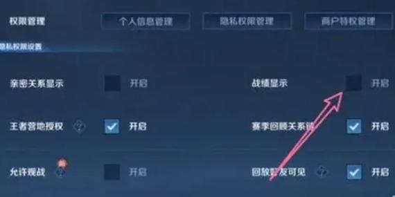 王者荣耀战绩回放怎么看不了了截图