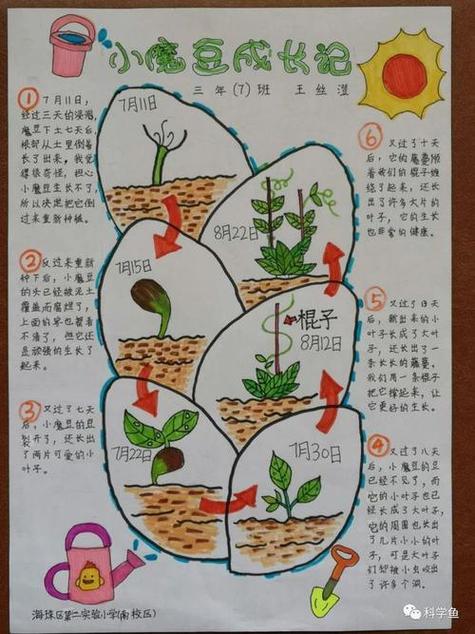 魔豆制作方法