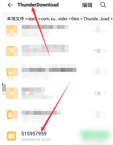 迅雷下载删除的文件怎么找回图标