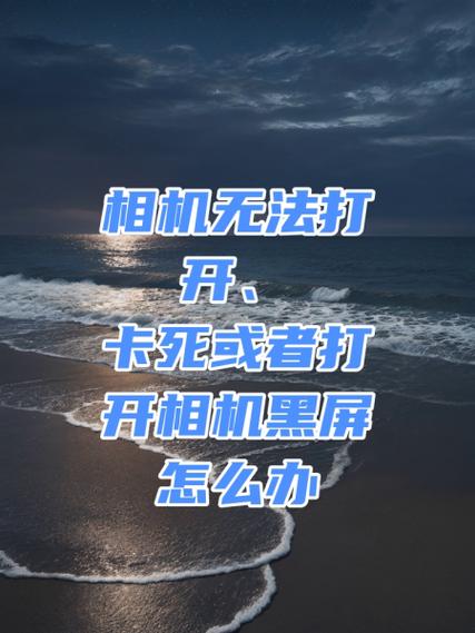 人脸识别无法启动相机怎么办图标