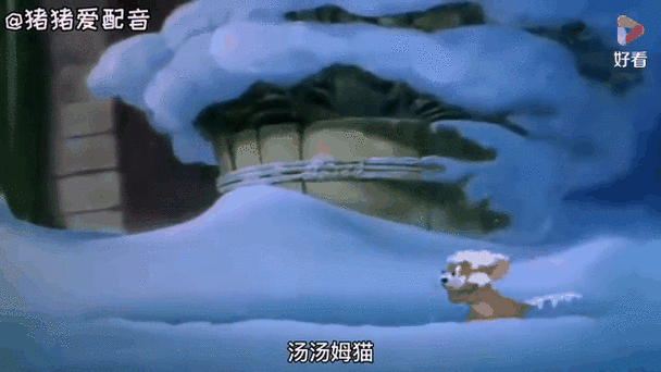 猫和老鼠冬眠吗缩略图