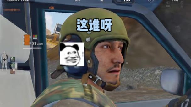 小鲨鱼暗区突围合集游戏截图