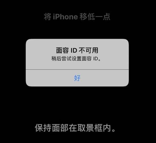 苹果手机无法识别面容图标