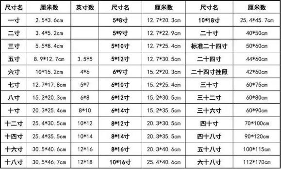 证件照一寸照片尺寸图标