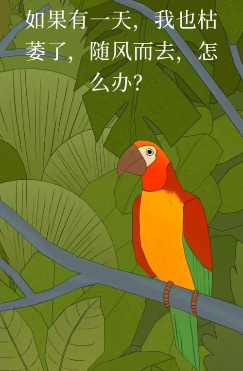孤独的鸟免费下载安装图标