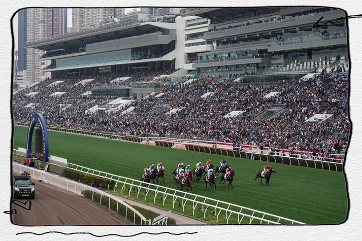 免费观看香港赛马直播缩略图