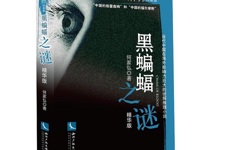 黑色之谜 全免版游戏截图