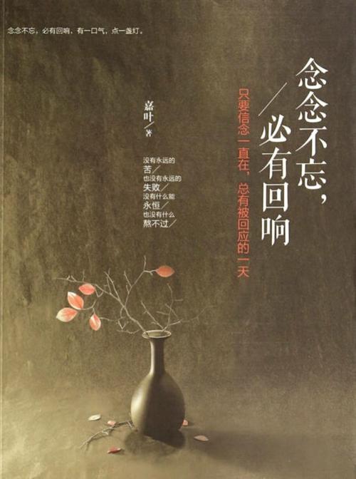 念念不忘 小说