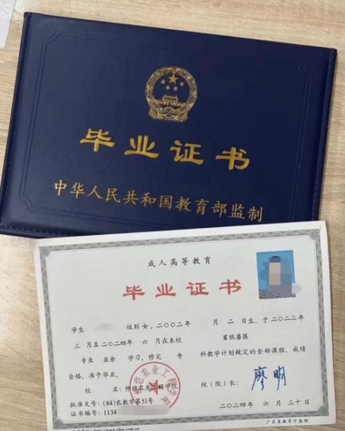 成人大专快速取证安装包 游戏截图
