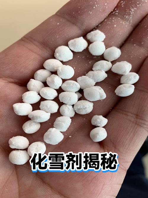 我的世界怎么把雪块融化游戏截图