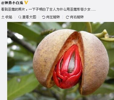豆蔻是多少岁