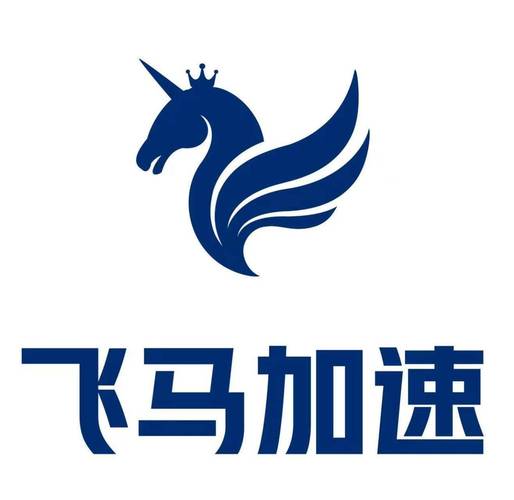 飞马NPV加速器