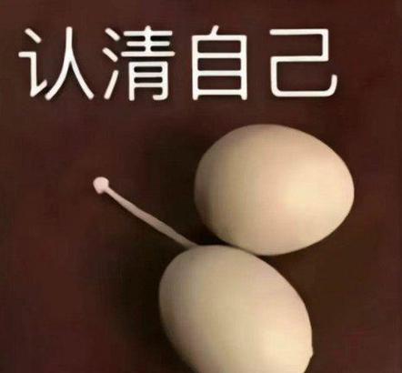 免费十八款禁用口入口