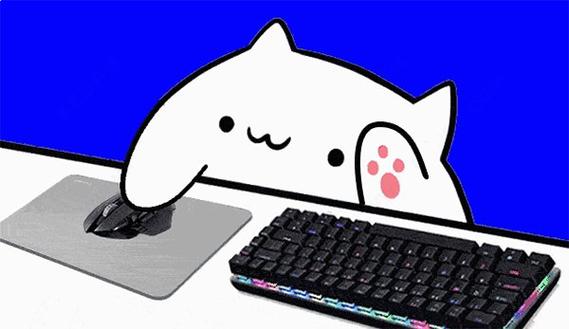 键盘猫