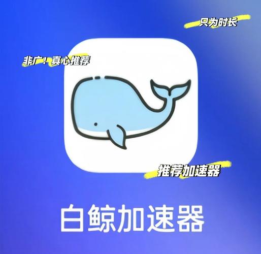白鲸永久免费加速器