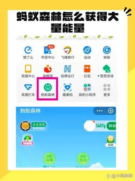 蚂蚁森林怎么看别人几点送的能量