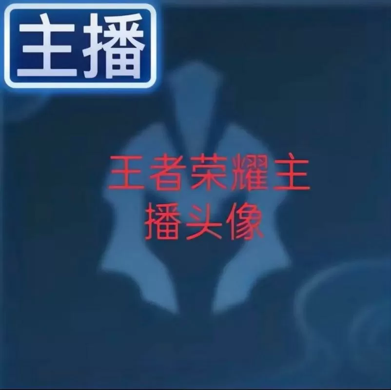 王者右边有个像摄像头的标至
