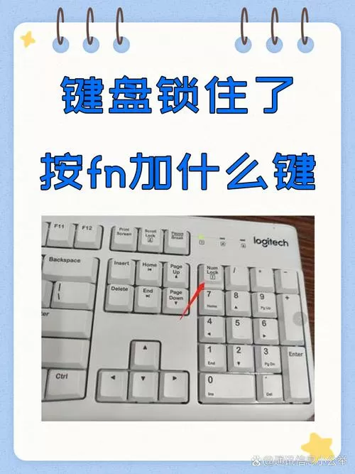 台式键盘锁住了,按fn加什么键