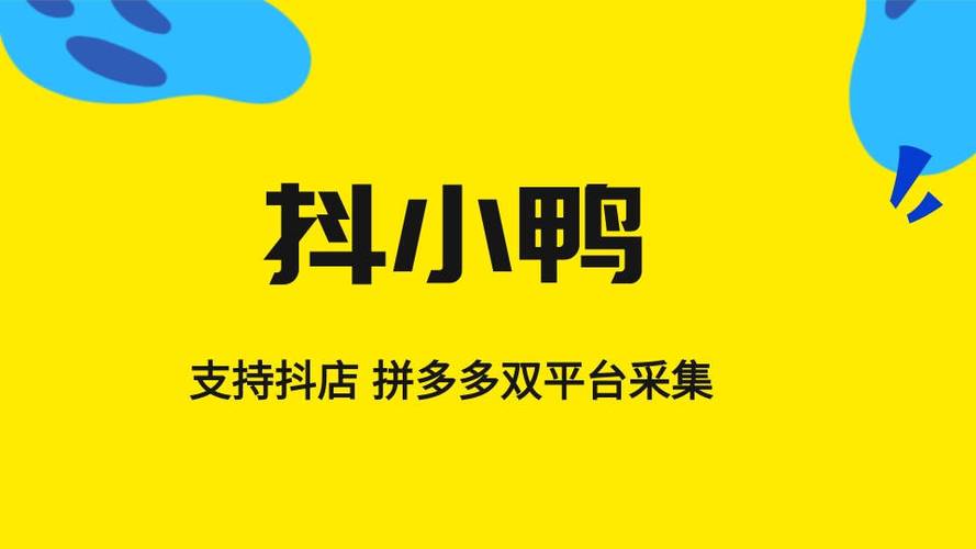 网络鸭子接单软件