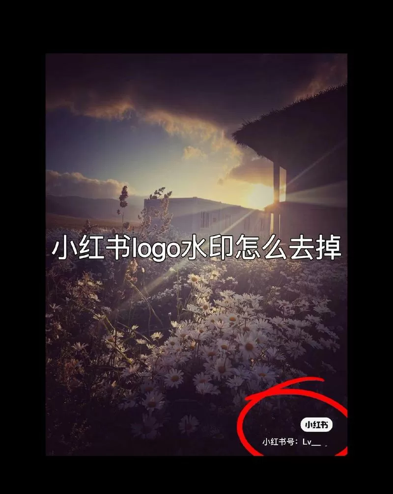 把自己小红书的水印关掉