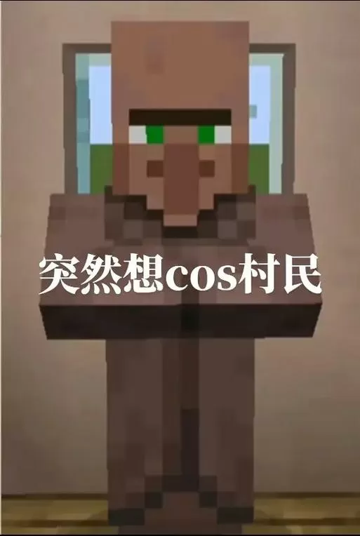 我的世界真人版视频图标