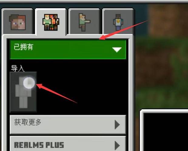 我的世界网易版皮肤导入