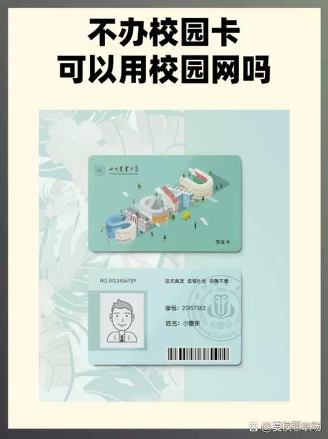 不办校园卡可以用校园网吗